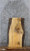 Thumbnail for Ash Live Edge Charcuterie/End Table Slab 13100