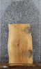 Thumbnail for Ash Live Edge Charcuterie/End Table Slab 13100
