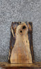 Thumbnail for Spalted Maple Live Edge Charcuterie/End Table Slab 13101