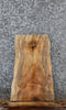 Thumbnail for Spalted Maple Live Edge Charcuterie/End Table Slab 13101