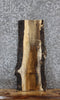 Thumbnail for Sappy White Oak Live Edge Charcuterie/Shelf Slab 13102