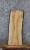 Thumbnail for Spalted Maple Live Edge Shelf/Charcuterie Slab 13103