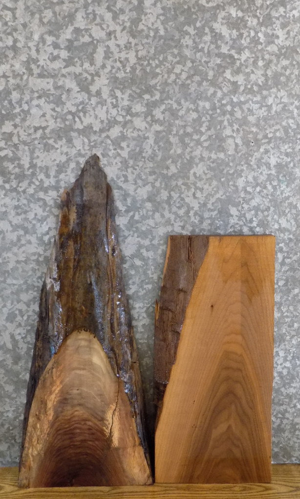 2- DIY Live Edge Black Walnut Charcuterie Boards/Slabs CLOSEOUT 13106-13107