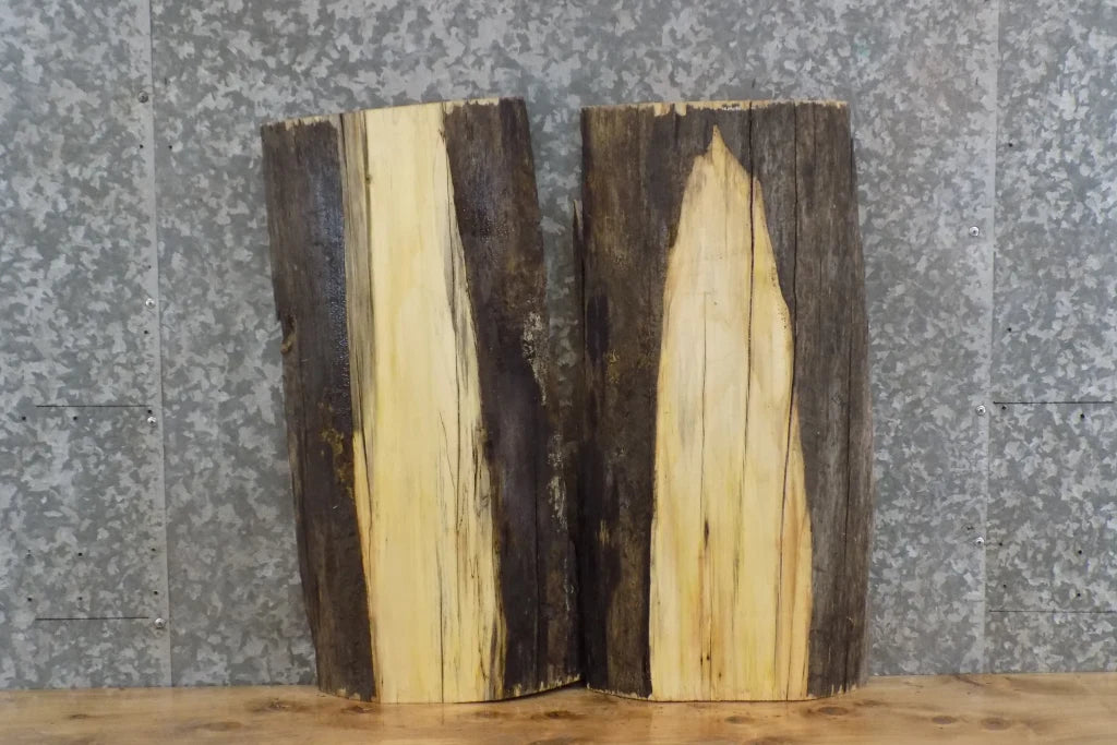 2- Live Edge Spalted Maple Taxidermy Mount/Wall Shelf Slabs 13108-13109