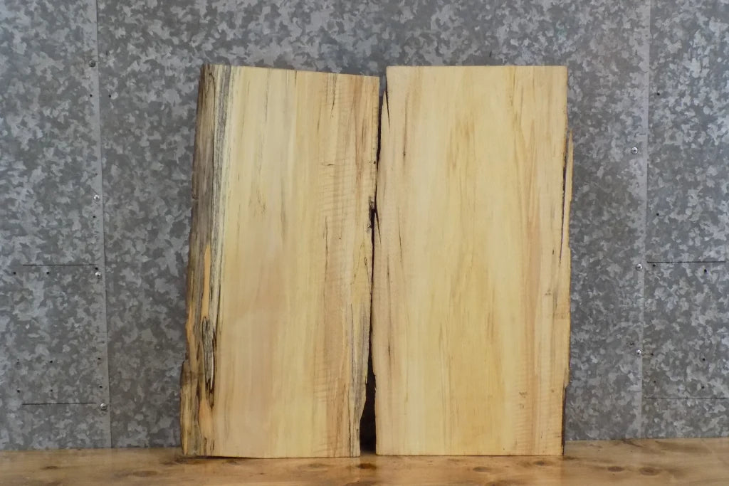 2- Live Edge Spalted Maple Taxidermy Mount/Wall Shelf Slabs 13108-13109