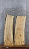 Thumbnail for 2- Spalted Maple Live Edge Shelf/Charcuterie/End Table Slabs 1311-1312