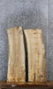 Thumbnail for 2- Spalted Maple Live Edge Shelf/Charcuterie/End Table Slabs 1311-1312