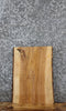 Thumbnail for Ash Live Edge Charcuterie/End Table Slab 13120