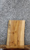 Thumbnail for Ash Live Edge Charcuterie/End Table Slab 13124