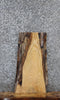 Thumbnail for Ash Live Edge End Table/Charcuterie Slab 13129