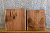Thumbnail for 2- Rustic Live Edge Black Walnut Craft Pack/Cutting Board Slabs 13130-13131