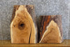 Thumbnail for 2- Rustic White Oak Live Edge Craft Pack/Taxidermy Bases CLOSEOUT 13132-13133