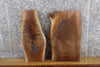 Thumbnail for 2- Black Walnut Live Edge Salvaged Craft Pack/Taxidermy Bases 13136-13137