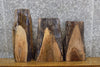 Thumbnail for 3- Natural Edge Black Walnut Craft Pack/Taxidermy Slabs CLOSEOUT 13142-13144