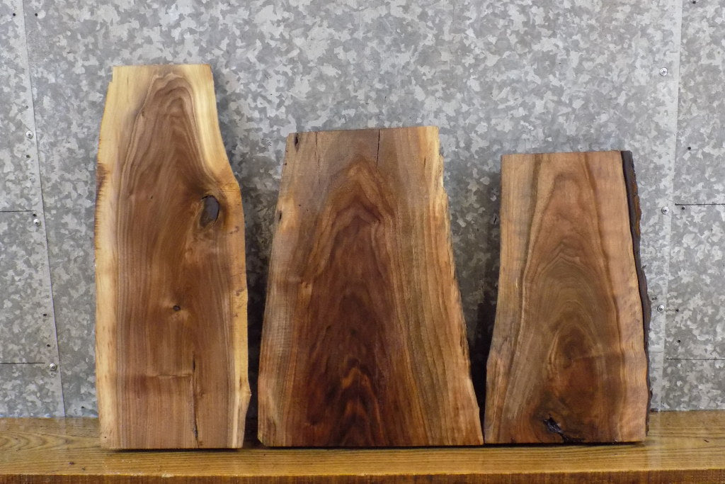 3- Natural Edge Black Walnut Craft Pack/Taxidermy Slabs CLOSEOUT 13142-13144