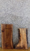 Thumbnail for 2- Reclaimed Live Edge Black Walnut Craft Pack/Taxidermy Bases 13149-13150