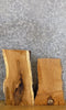 Thumbnail for 2- White Oak Live Edge Taxidermy Bases/Craft Pack Slabs CLOSEOUT 13151-13152