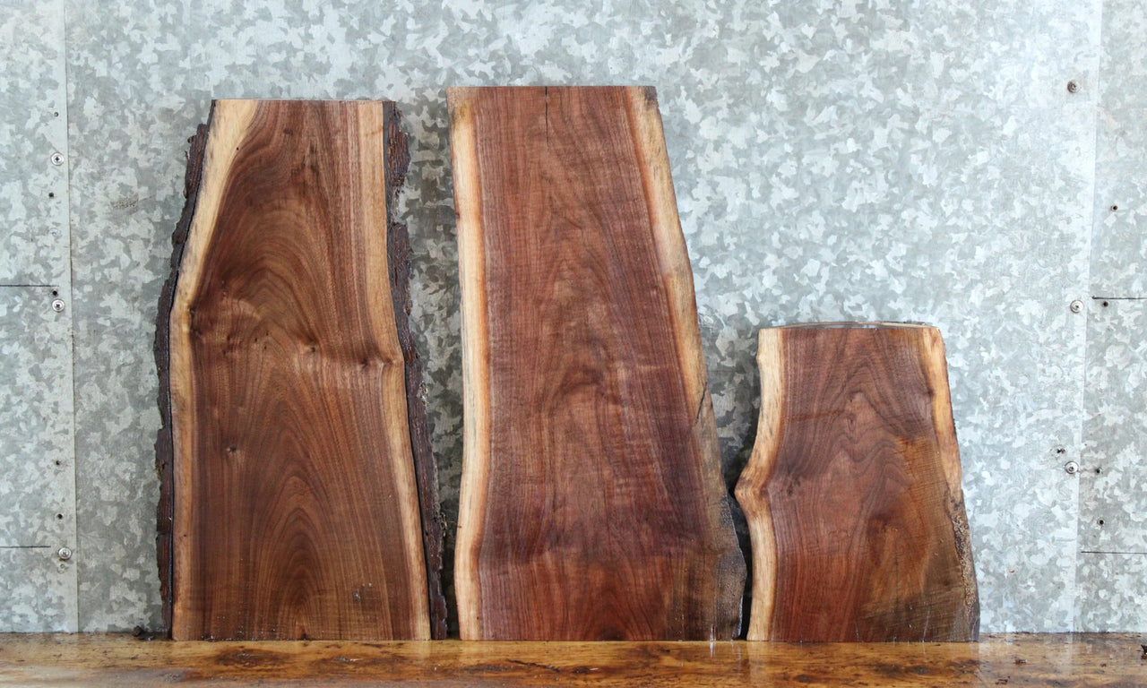 3- Live Edge Black Walnut Charcuterie Boards/DIY Project 13172-13174