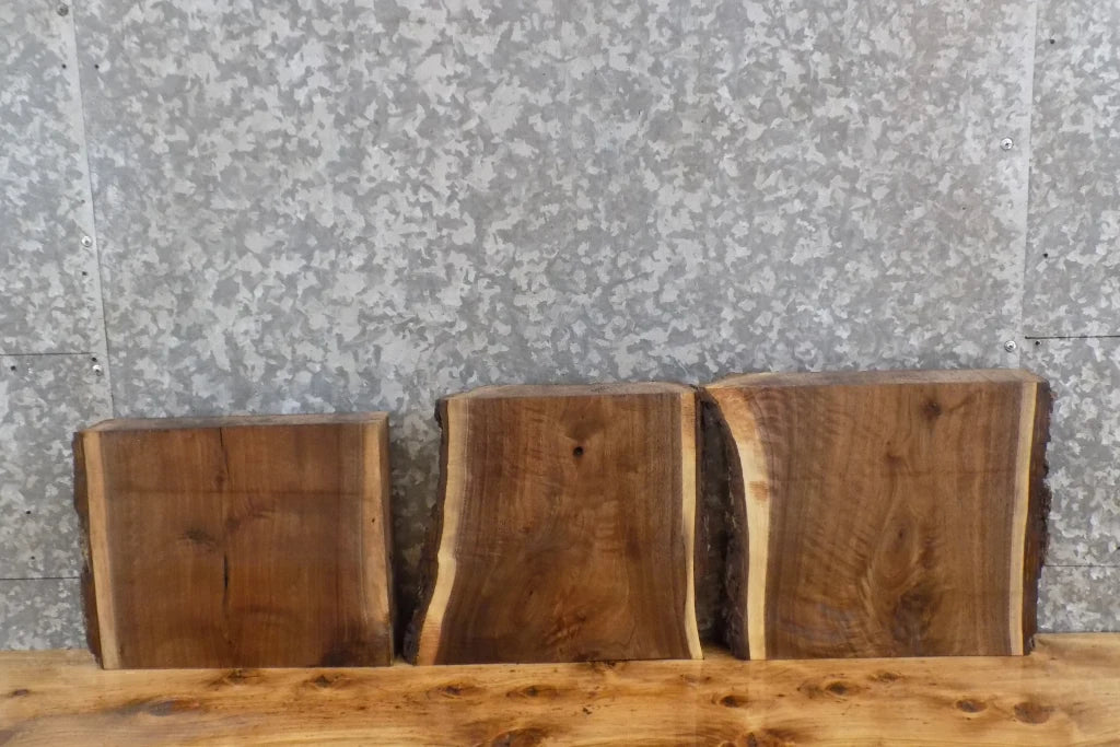 3- Live Edge Black Walnut Charcuterie/Cheese Board Slabs 13205-13207