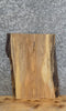 Thumbnail for Live Edge Maple Taxidermy Mount/Butchers Block Slab 13210