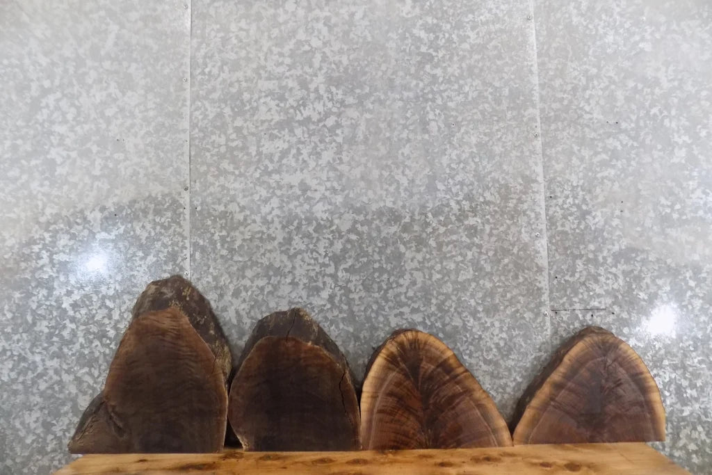 4- Live Edge Black Walnut Taxidermy Mount/Wall Art Slabs* 13214-13219