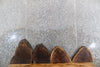 Thumbnail for 4- Live Edge Black Walnut Taxidermy Mount/Wall Art Slabs* 13214-13219