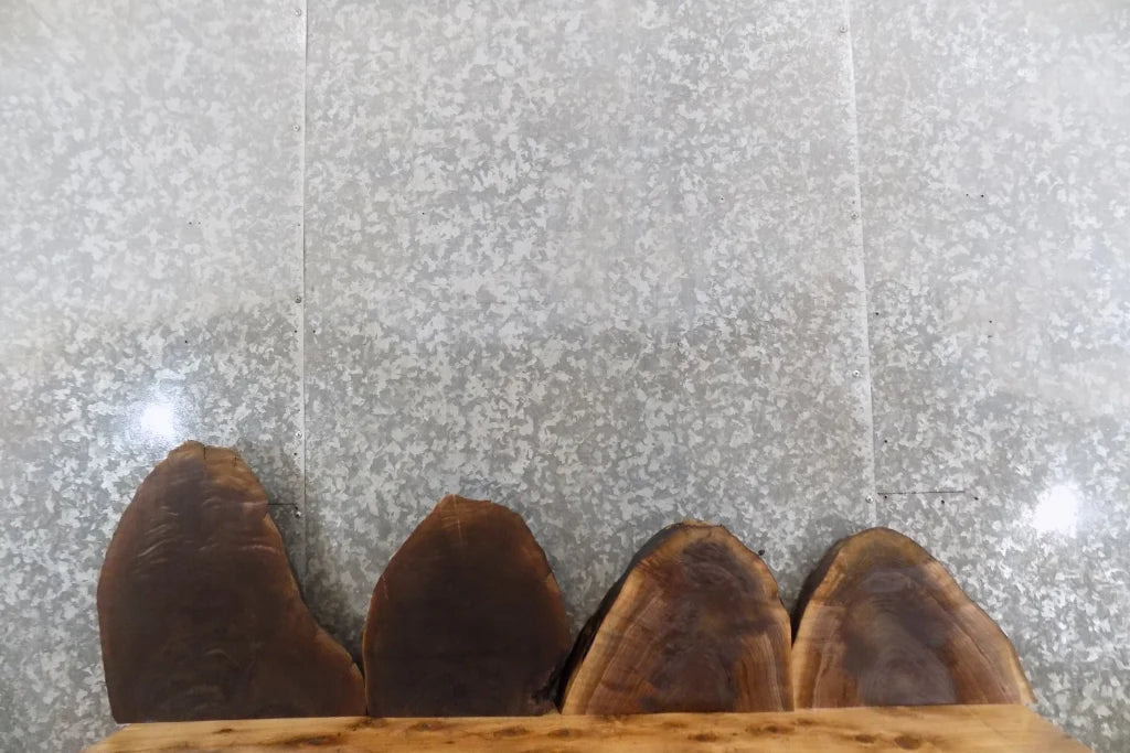 4- Live Edge Black Walnut Taxidermy Mount/Wall Art Slabs* 13214-13219