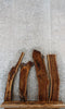 Thumbnail for 4- Rustic Live Edge Black Walnut Wall Shelf Slabs 1327-1330