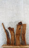 Thumbnail for 4- Rustic Live Edge Black Walnut Wall Shelf Slabs 1327-1330