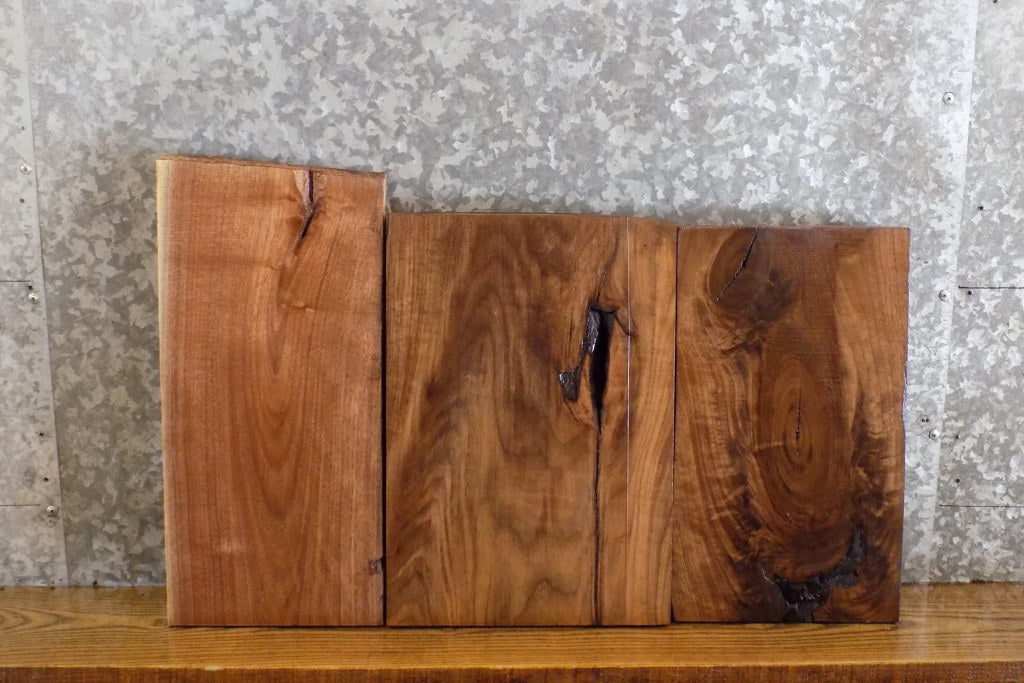 3- Black Walnut Kiln Dried Rustic Lumber Boards/Craft Pack 13273-13275