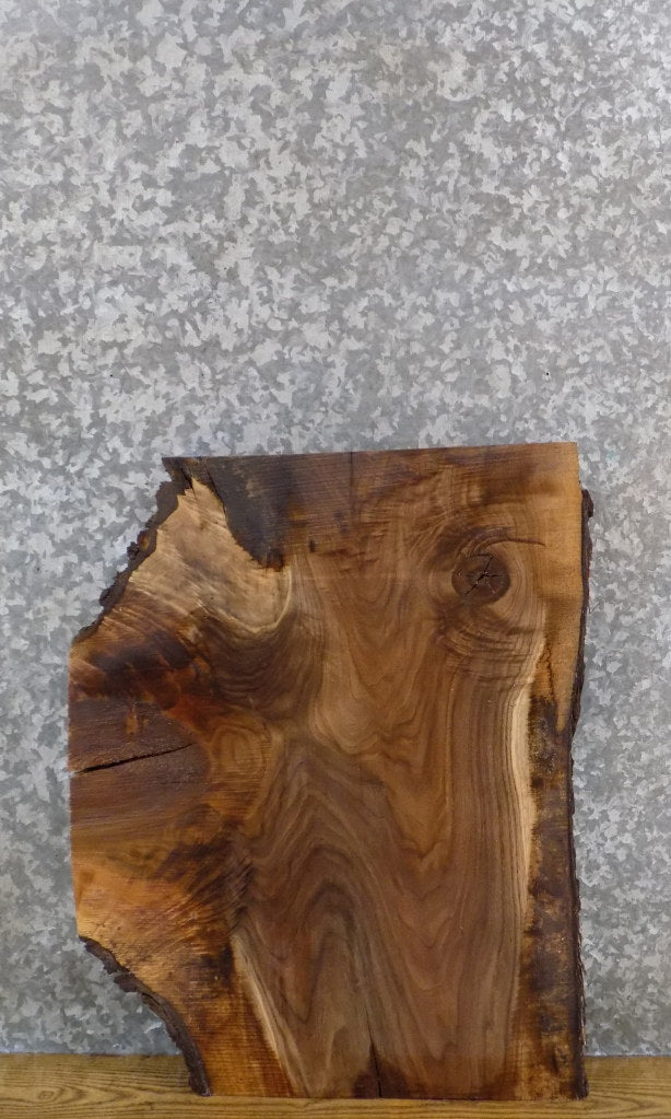 Reclaimed Live Edge Black Walnut End/Side Table Top Slab 13290