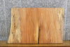 Thumbnail for Partial Live Edge Rustic Spalted Maple End Table Top Slab 13291