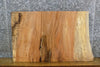Thumbnail for Partial Live Edge Rustic Spalted Maple End Table Top Slab 13291