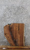 Thumbnail for Walnut Live Edge End Table Slab 13295