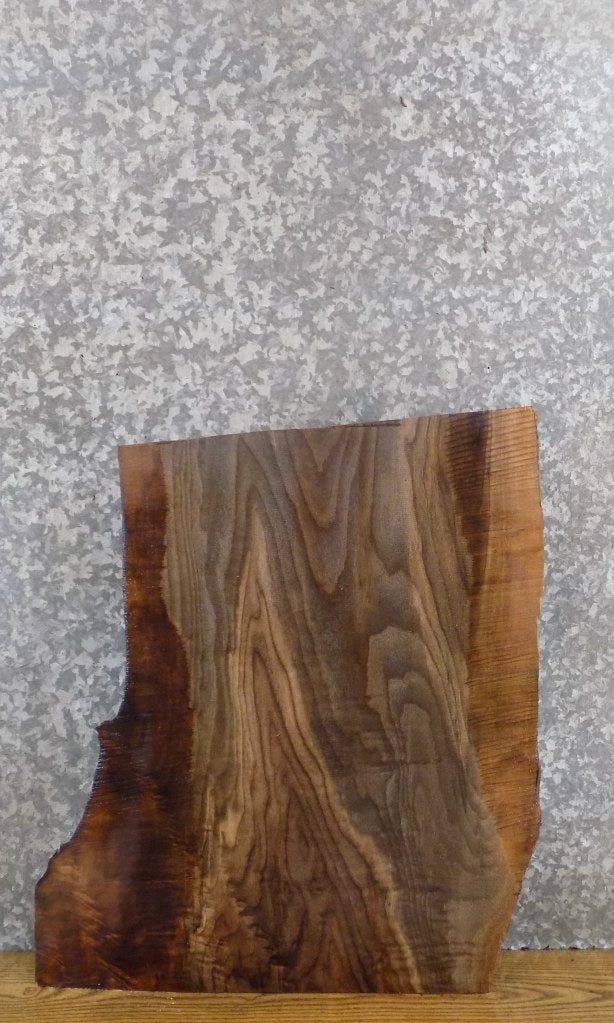 Live Edge Black Walnut Side/End Table Top Slab CLOSEOUT 13296