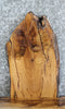 Thumbnail for Live Edge White Oak Coffee/End Table Top Slab 13298