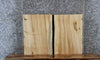 Thumbnail for 2- Live Edge Maple Charcuterie End Table Tops 13299-13300