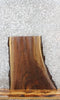 Thumbnail for Rustic Live Edge Black Walnut End Table Top 13303