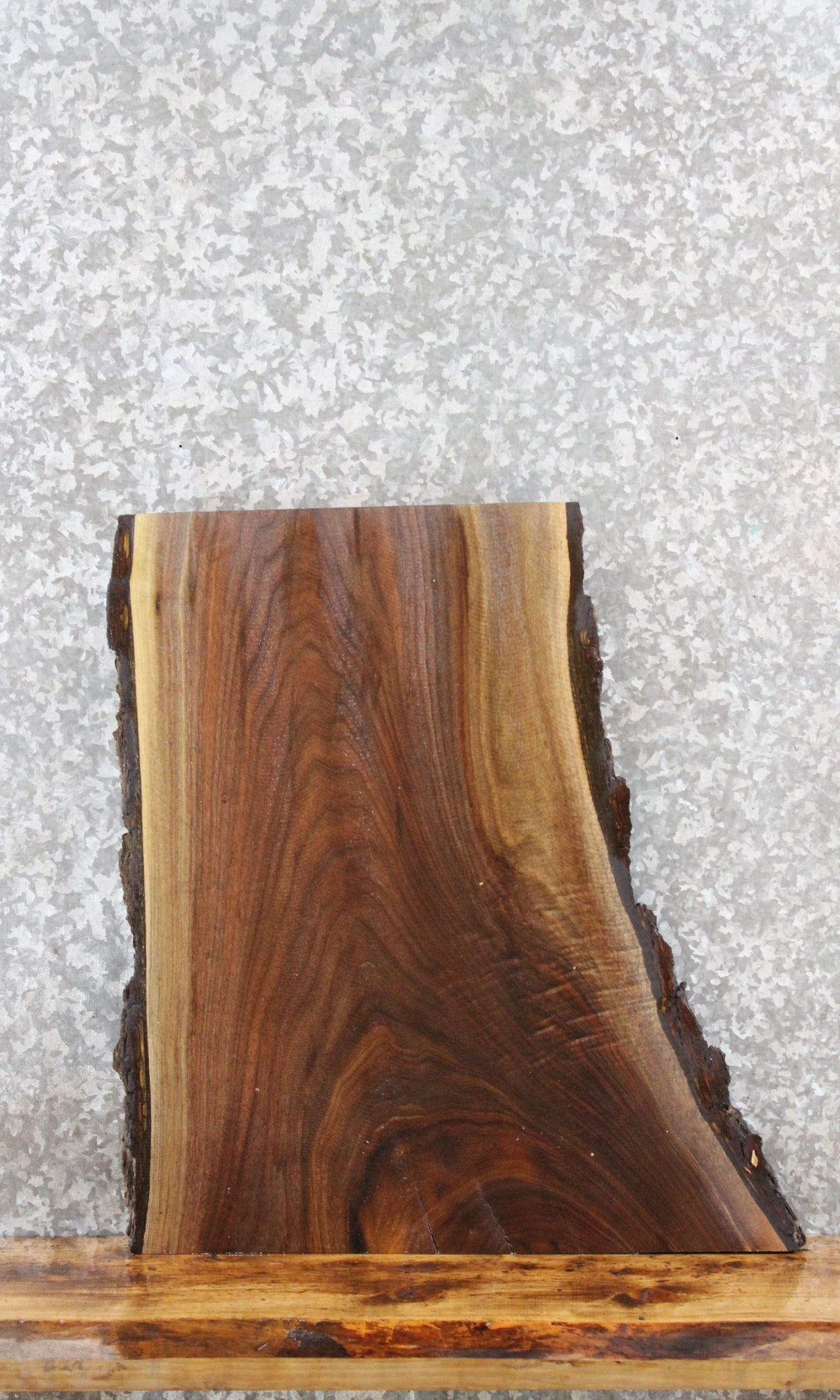Rustic Live Edge Black Walnut End Table Top 13303