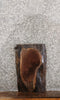 Thumbnail for Black Walnut Live Edge Charcuterie Board/Taxidermy Slab 13311