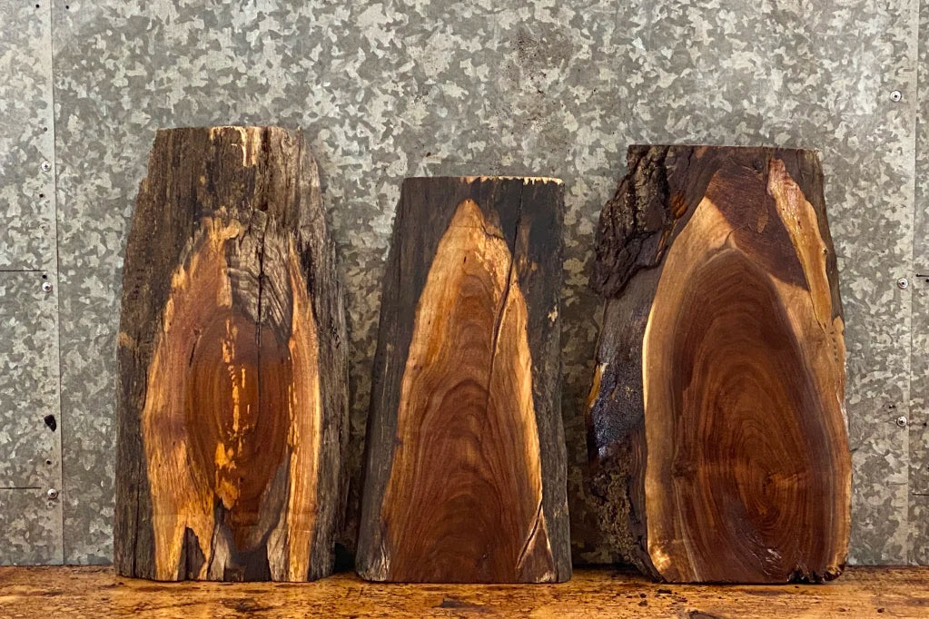 3- Live Edge Black Walnut End Table Top 13313,13331,13356