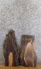 Thumbnail for 2- Natural Edge Black Walnut Rustic DIY Charcuterie Boards/Slabs 13316-13317