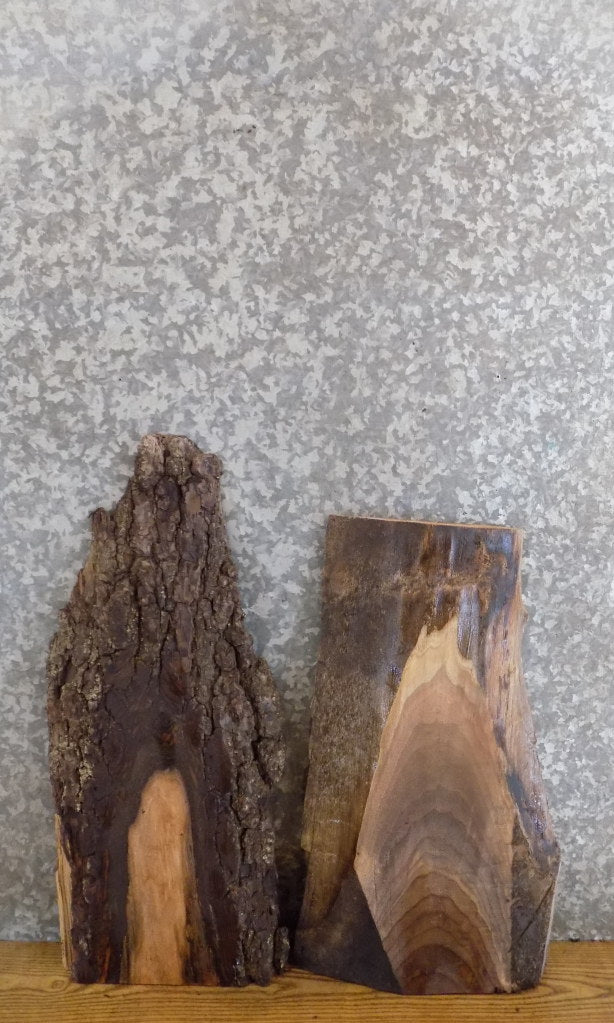 2- Natural Edge Black Walnut Rustic DIY Charcuterie Boards/Slabs 13316-13317