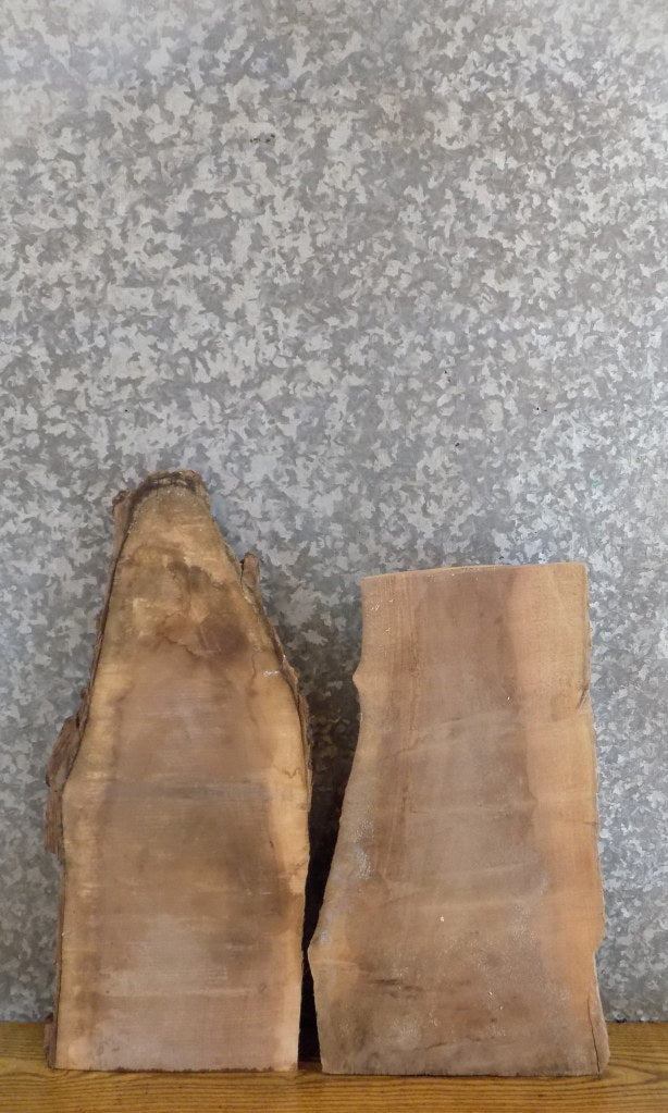 2- Natural Edge Black Walnut Rustic DIY Charcuterie Boards/Slabs 13316-13317