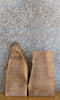 Thumbnail for 2- Natural Edge Black Walnut Rustic DIY Charcuterie Boards/Slabs 13316-13317