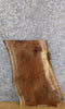 Thumbnail for Live Edge Black Walnut Rustic Side/End Table Top Slab 13319