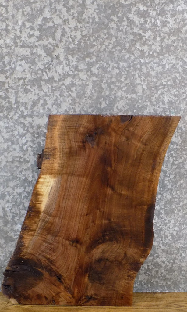 Live Edge Black Walnut Rustic Side/End Table Top Slab 13319
