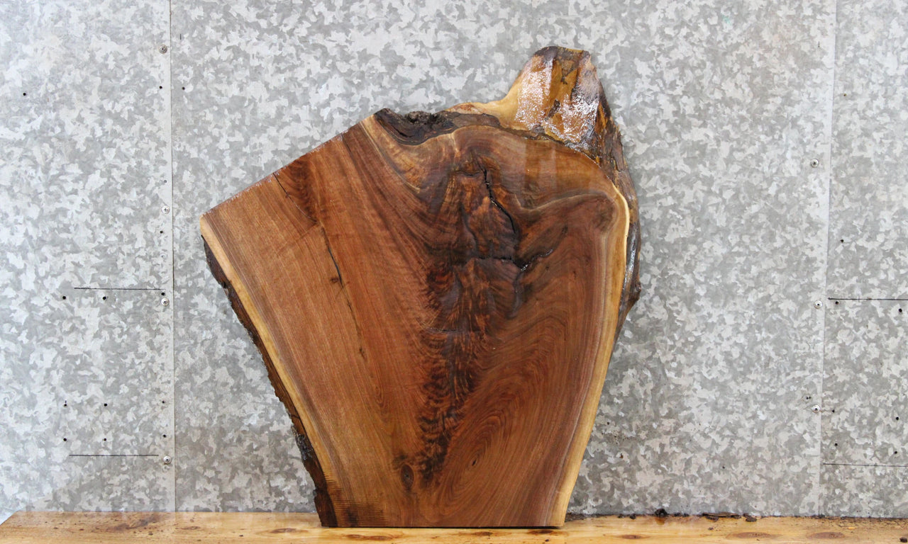 Figured Black Walnut Live Edge Slab, Wood Table Top 13320