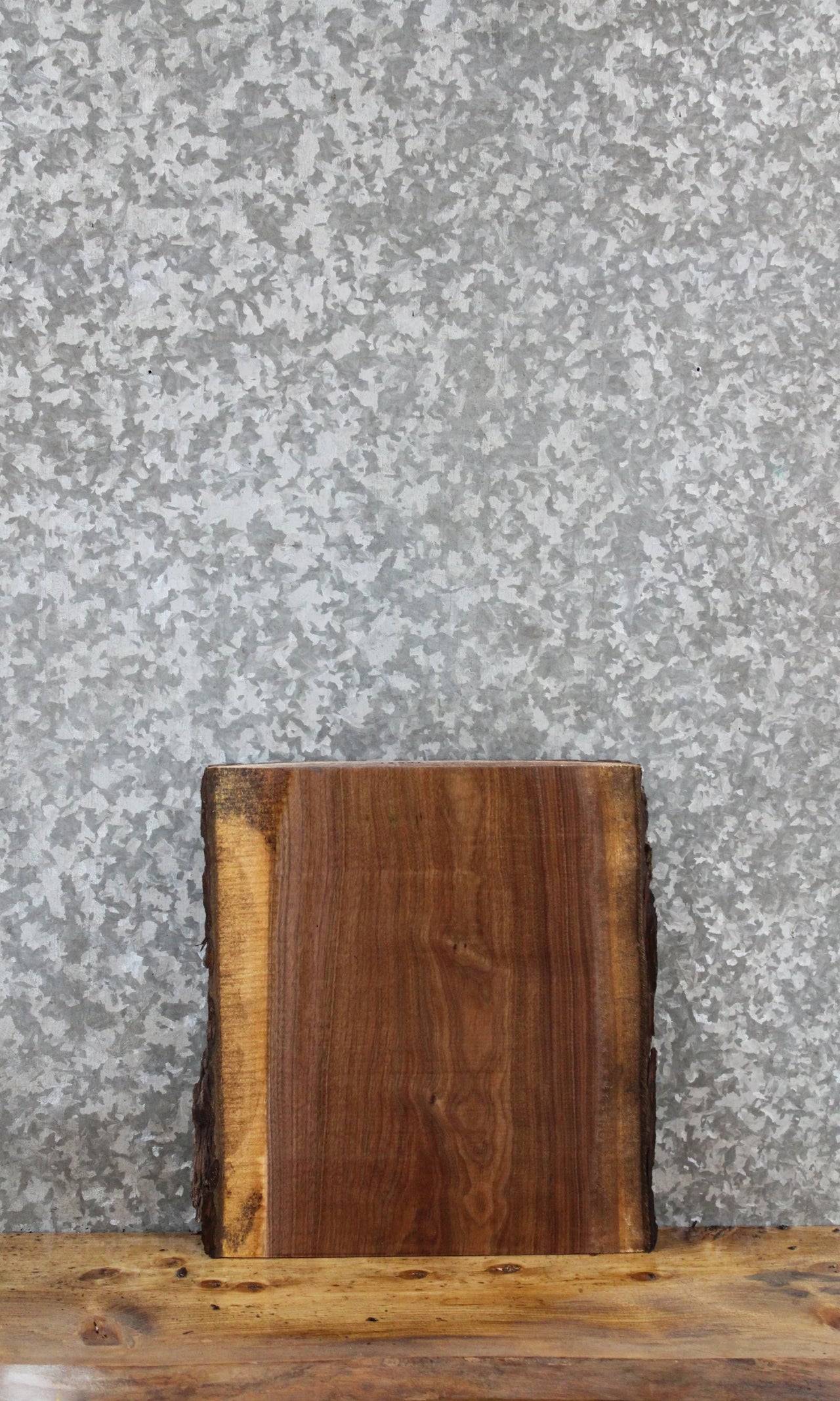 Reclaimed Black Walnut Live Edge Charcuterie/Taxidermy Slab 13321
