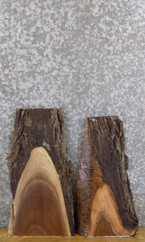 2- DIY Live Edge Bark Black Walnut Rustic Charcuterie Boards 13322-13323